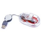 RATON TRANSPARENT